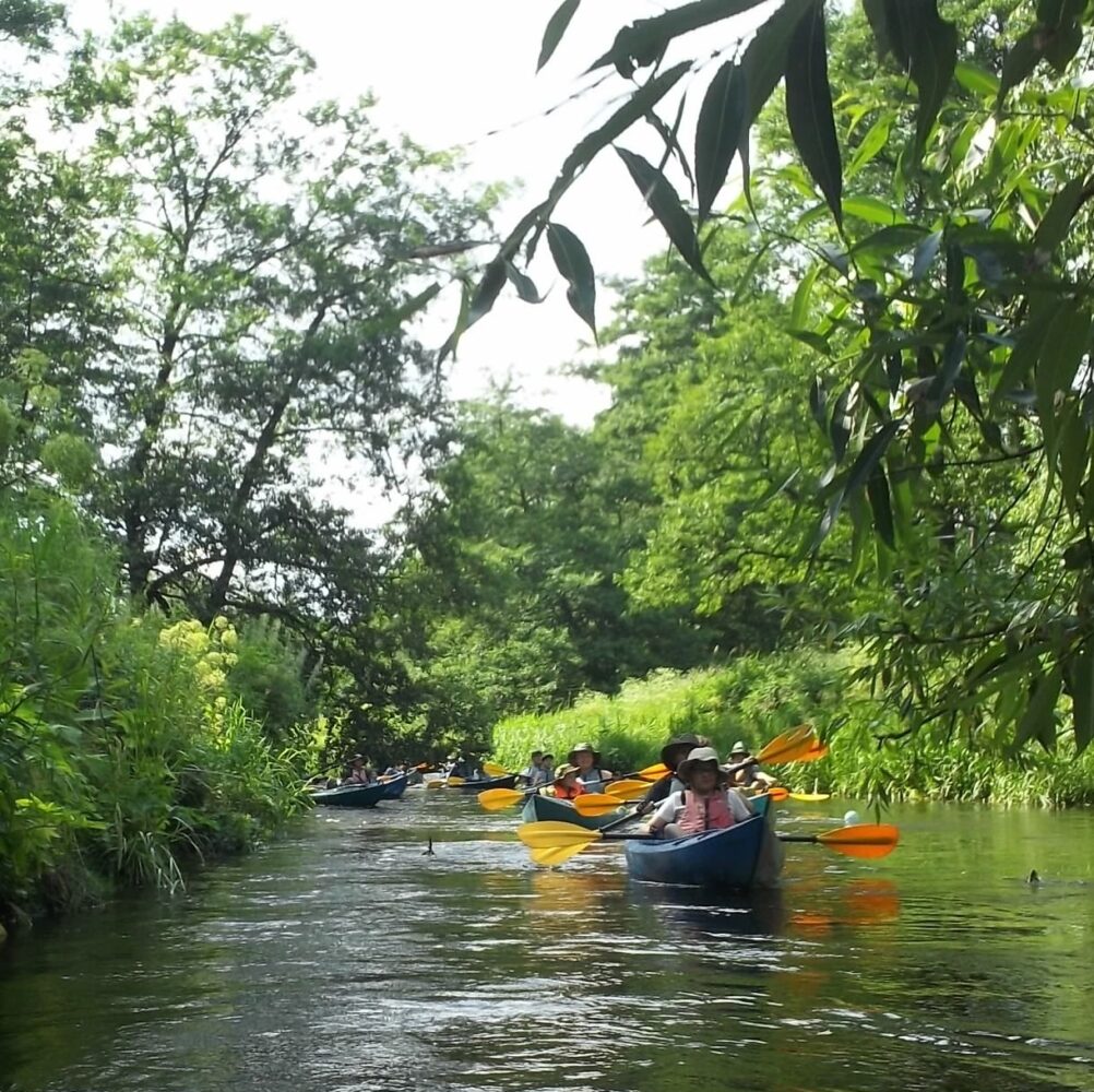 Spływ rodzinny na Dobrzycy