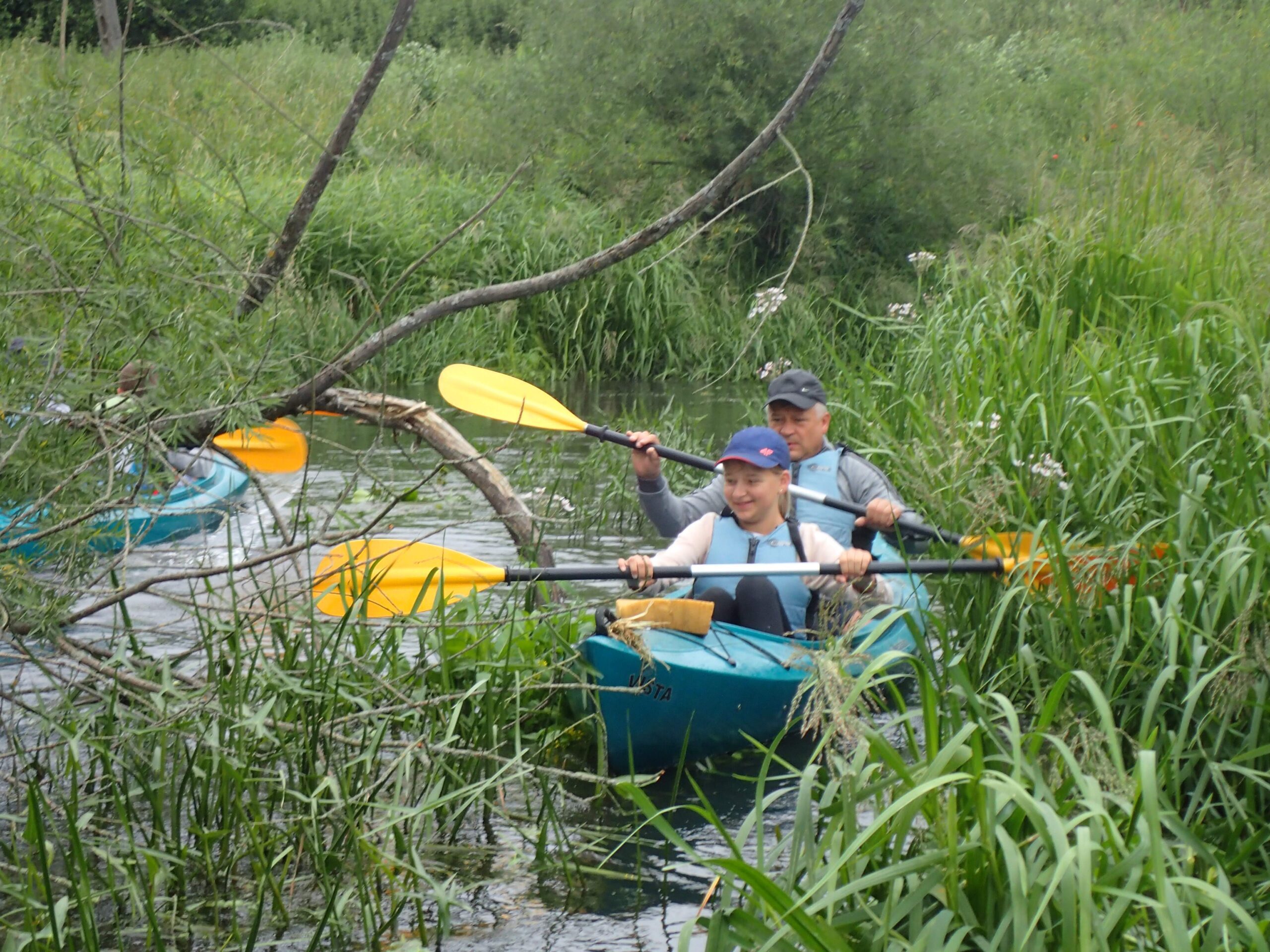 kajaki na rzece porośniętej trzcinami