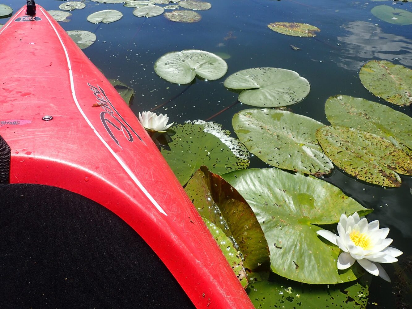 ekwipunek na spływ zapakowany w kajak płynący po jeziorze
