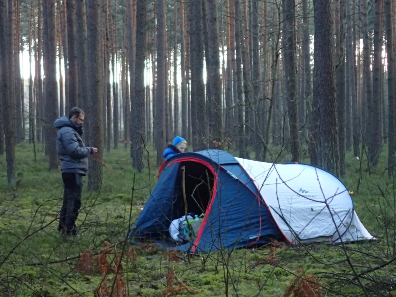 Namiot w lesie