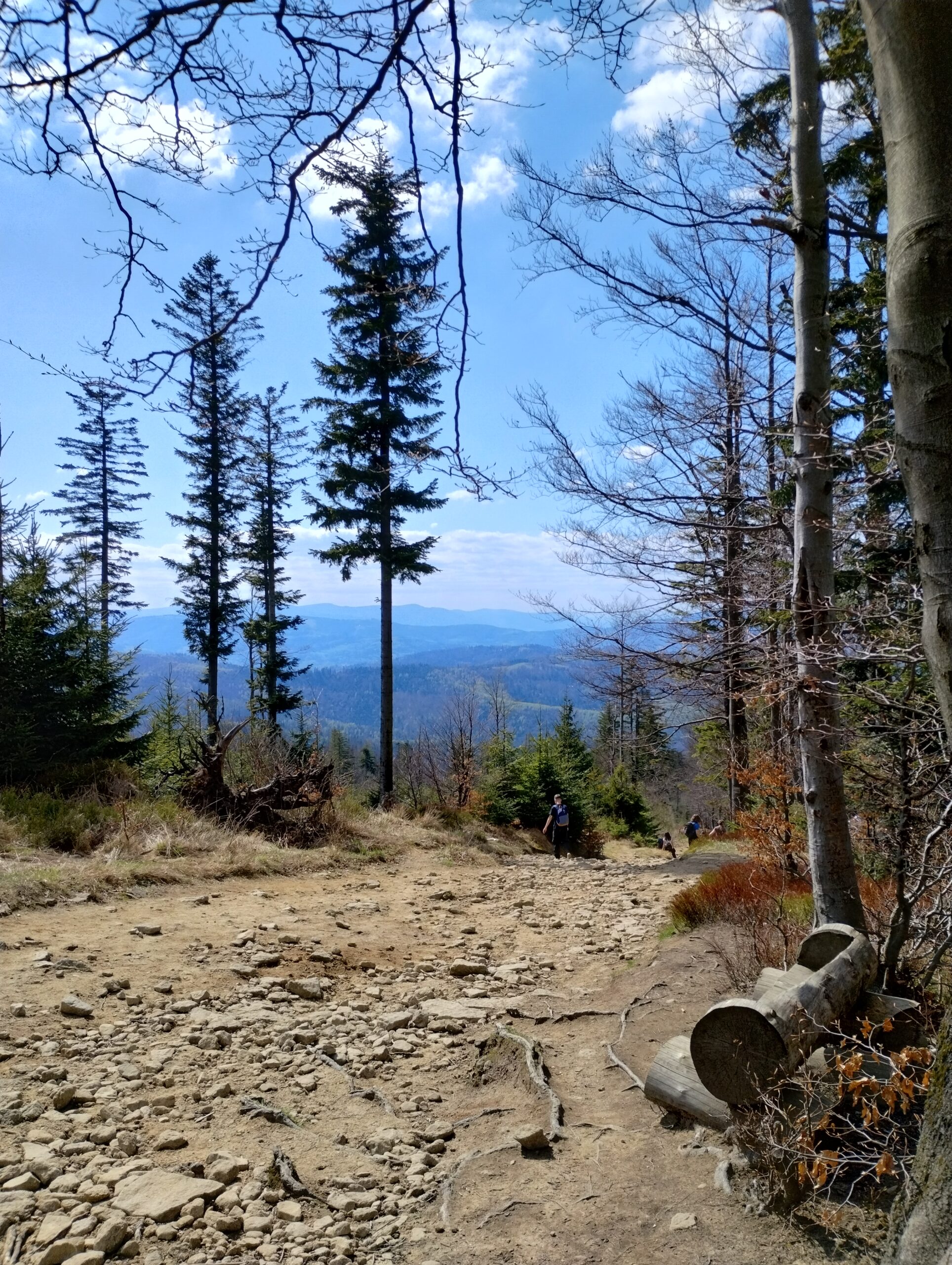 Szlak w Beskidzie Śląskim